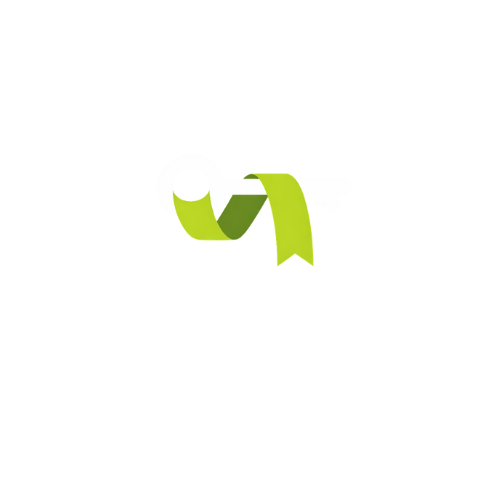 BVM Media logo